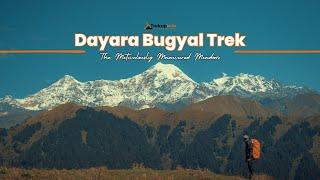 Dayara Bugyal Trek, Get Complete Details About Trek, Best Time, Route, Distance | Trekup India