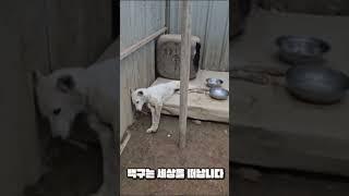 마지막 음식은 물 한모금이 전부였습니다( 고정댓글 참조)