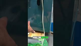 DIY HVAC: Building a Tiny Indirect Water Heater! 