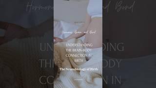 Understanding the Brain-Body Connection in Birth