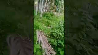 #mr AARAV TECH VIDEO
