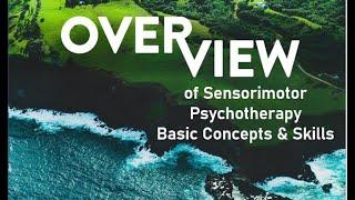 12A - SP - Overview of Sensorimotor Psychotherapy Basic Concepts and Skills