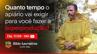 QUANTO TEMPO O APÍARIO VAI EXIGIR PARA VOCÊ FAZER A SUPERPRODUÇÃO ?