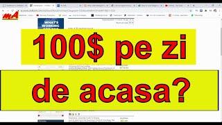 100$ pe zi ? Cum sa faci bani online fara sa investesti!