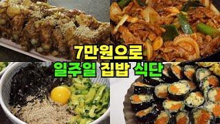 고물가 시대의 일주일 식비절약 집밥 3인 가족 |  대파제육볶음 황금레시피, 등갈비찜 존맛탱, 닭 한마리와 칼국수, 애호박비빔국수, 라따뚜이, 망한 미나리파전, 미나리당근김밥