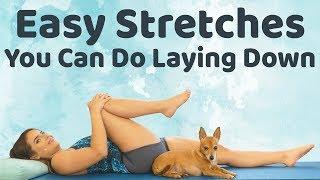 Beginner Easy Stretches for the Inflexible  Flexibility, Pain Relief, Daily Stretch Routine