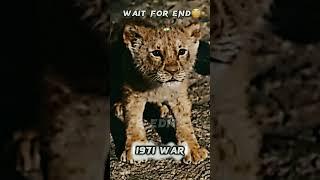 1971 War India And Russia Friendship  || #shorts #shortsfeed #ytshorts #viralshorts