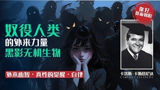 地球掠食者 / 黑影无机生物：奴役人类的外来力量 │ 弱肉强食的宇宙？什么是无机生物？蚕食人类能量茧 │ 外来心智 │ 自律 │ 唐望