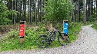 Cannock Chase 23rd May 2023 - Perry's Trail and Follow The Dog