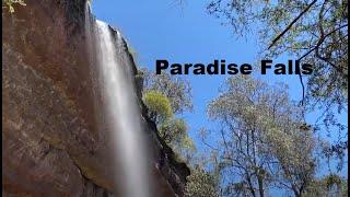 Paradise Falls