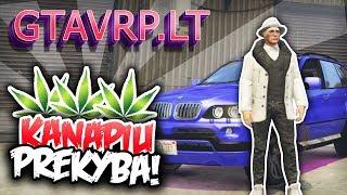 GTA V RP Lietuviškai - KANAPIŲ PREKYBA IR NAUJA MAŠINA