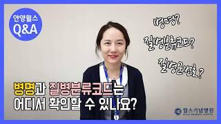 [안양윌스 Q&A] 병명과 질병분류코드는 어디서 확인할 수 있나요?