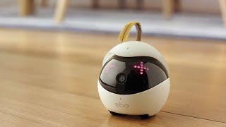 Ebo – The Smartest Robot Companion for Your Cat