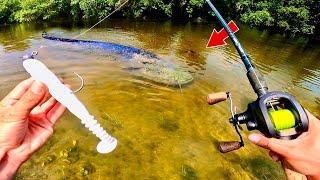 Un POISSON GÉANT inattendu dans cette petite rivière !! (Pêche au leurre)