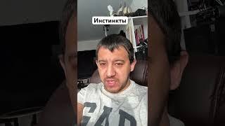 Инстинкты #инстинкты