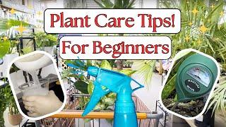  Beginner Plant Care Journey | Learning to Care for Houseplants & Misting Routine