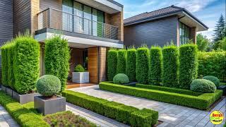 Modern Small Front Yard Landscaping Ideas | Beautiful Outdoor Space with Limited Square Footage