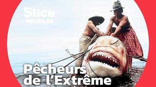 Chasseurs de requin-tigre géant | SLICE PEUPLES