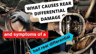 What causes rear differential damage and symptoms of a bad rear differential