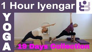 One Hour Iyengar Yoga Class - 19 Days of Yoga Collection