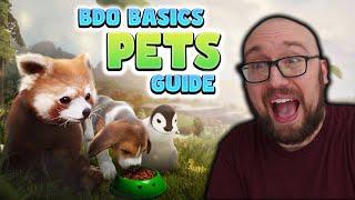 2024 Pets Guide for Black Desert Online | BDO Basics