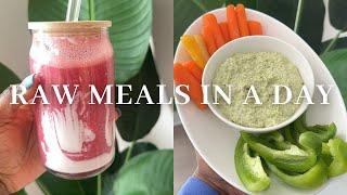 Raw Plant Based Meals in a Day