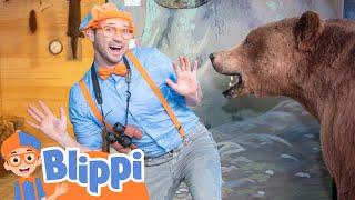 Blippi's Nature Walk | Best Animal Videos for Kids | Kids Songs and Nursery Rhymes