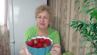 Ситуация в городе 31.05 . Продукты с рынка-все дорого.Готовлю вкусный обед с котлетками.
