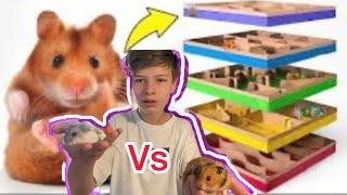 Hamster ￼ library battle ￼