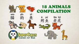 学中文-动物合辑 | Learn Chinese for kids - Animals Compilation | Aprender Chino - Recopilación de animales