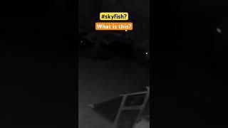 #skyfish ? Anyone know what this is? Full video on my channel. Thanks!