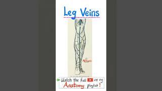 Veins of Lower Extremities - Anatomy of the lower limbs....#doctor #nurse  #anatomy #physiology