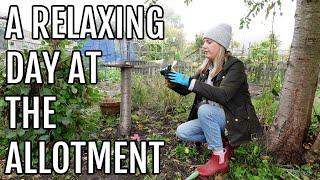 A RELAXING DAY ON THE ALLOTMENT / ALLOTMENT GARDENING UK