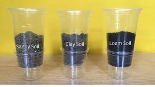 Types of Soil | Water Flow and Absorption Test | Sand, Loam and Clay Soil