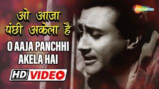 ओ आजा पंछी अकेला है | O Aaja Panchhee Akela Hai - HD Video | Nau Do Gyarah | Dev Anand | Kalpana