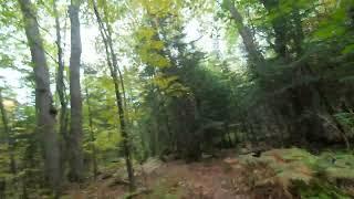 VCAM 0326y