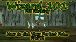 Wizard101: The Pet Bank - How to get the Perfect Pet for you - Fast!