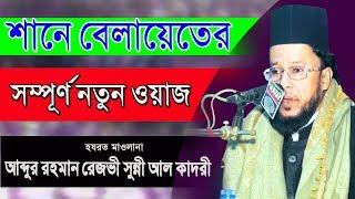 শানে বেলায়েতের সম্পূর্ণ নতুন ওয়াজ || আব্দুর রহমান রেজভী সুন্নী আল কাদরী | Mridha Media Waz