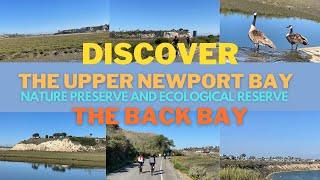 Discover the wonders of the back bay in Newport Beach.