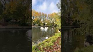Norwich Through the Seasons