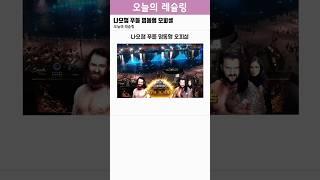 나오챔 푸들 명동형 오피셜