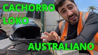 DA PRA LEVAR A VIDA COMO MOTOBOY NA AUSTRÁLIA ??