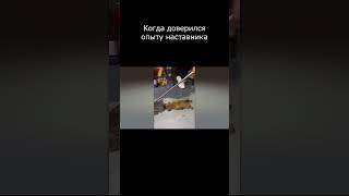 Когда пошел к наставеику по продвижению