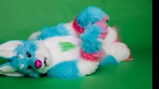 Photo video  clip 2 Acid Fursuiters