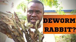 Best Leaves for Deworming Rabbits