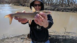 Spring Catfish on the River Holy Crap John A Finally Catches a Fish