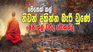 මෙතෙක් කල් නිවන් දකින්න බැරි උණේ,,, අපි කල වරද මොකක්ද || Siwhela TV