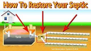 Restoring A Septic Drain Field: First Steps (Least Vs. Most Expensive)