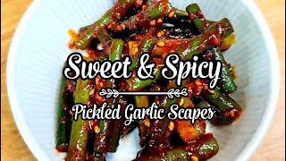 Easy Way to Make Crunchy Sweet & Spicy Pickled Garlic Scapes 마늘쫑무침