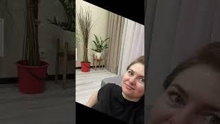Дерево из ивы дикой вербы своими руками #ива #верба #сад #огород #дача